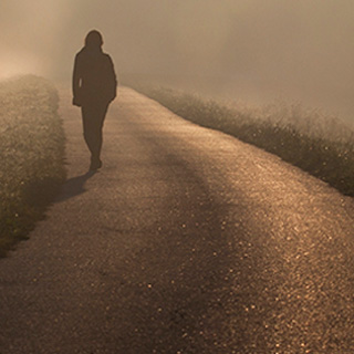 DDOS压力测试网页端