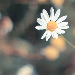 手机版ddos攻击器