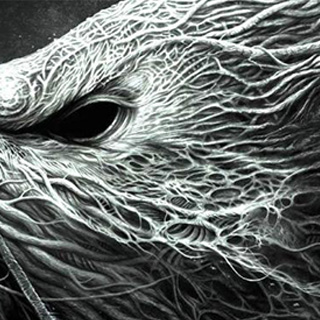 软件门户快速的小黑ddos压力测试平台